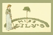 Miss Lily's Miss Lily's