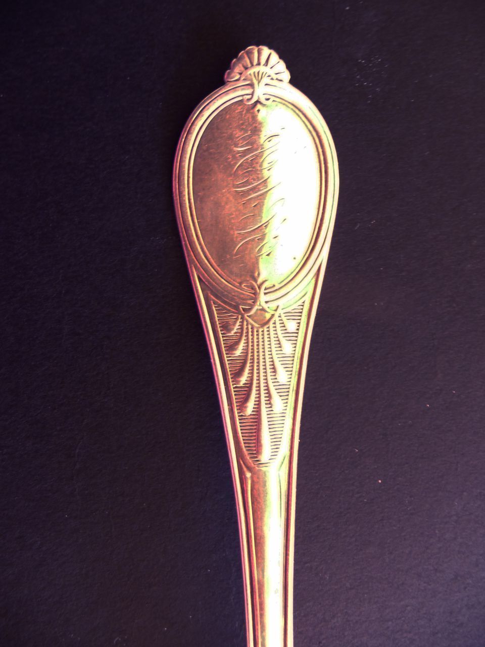 Antique Sterling Polhemus Sugar Shell from cowhollowcollectibles on