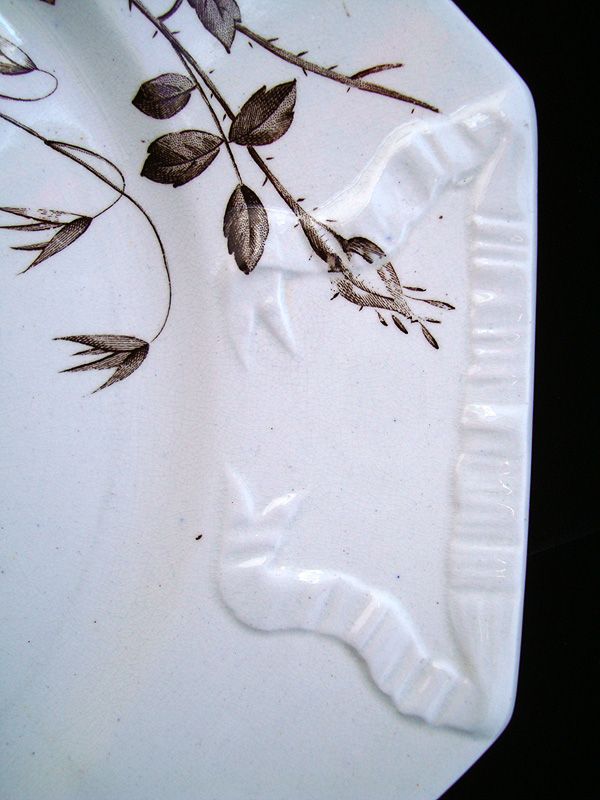 Polychrome Brown Transfer Master Cookie Plate ~ LADYBUG 1890 Polychrome Brown Transfer Master Cookie Plate ~ LADYBUG 1890