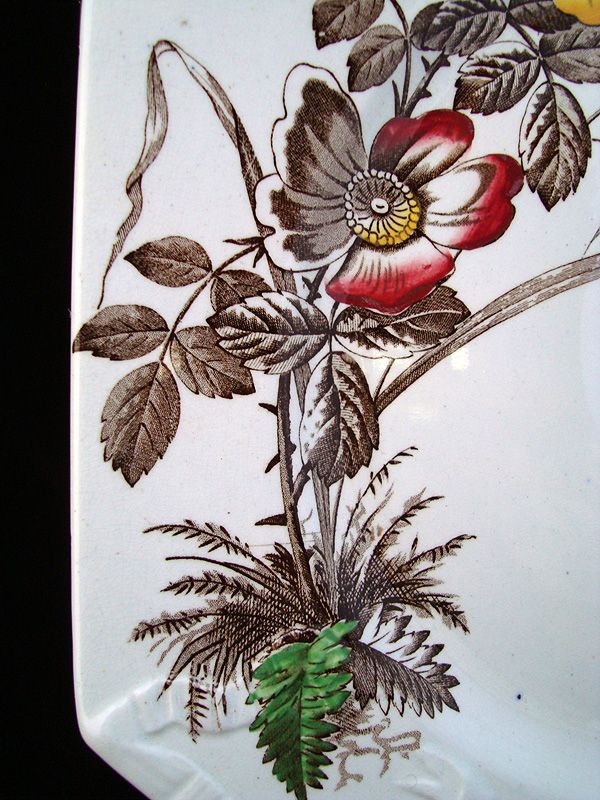 Polychrome Brown Transfer Master Cookie Plate ~ LADYBUG 1890 Polychrome Brown Transfer Master Cookie Plate ~ LADYBUG 1890