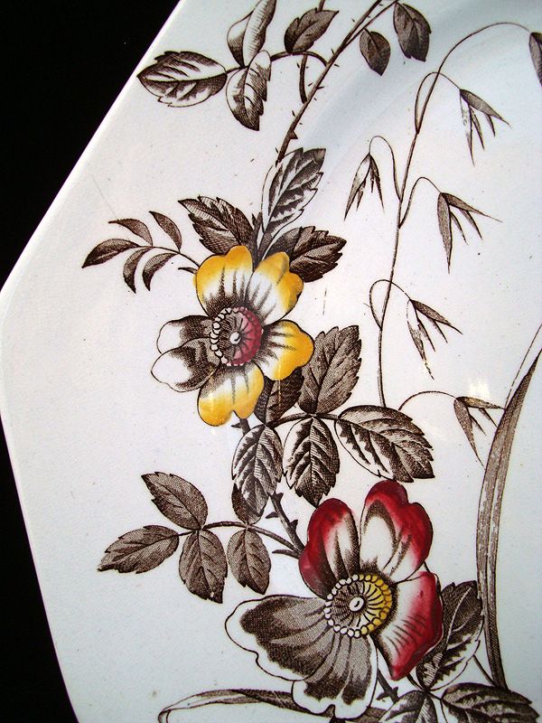 Polychrome Brown Transfer Master Cookie Plate ~ LADYBUG 1890 Polychrome Brown Transfer Master Cookie Plate ~ LADYBUG 1890