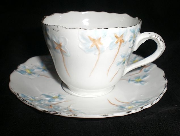 Vintage German demitasse Cup and Saucer with hand painted flowers by C & E Carstens Vintage German demitasse Cup and Saucer with hand painted flowers by C & E Carstens