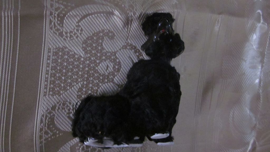 Gluten Free, Velour Covered Black Spaghetti Poodle, Napco Gluten Free, Velour Covered Black Spaghetti Poodle, Napco