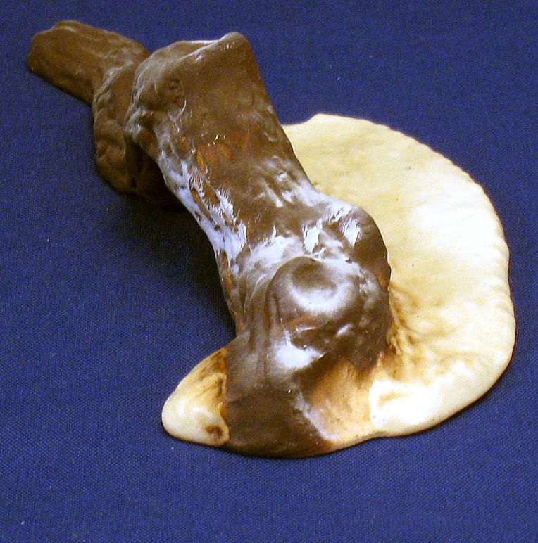 Hagen Renaker Driftwood Display Piece Hagen Renaker Driftwood Display Piece