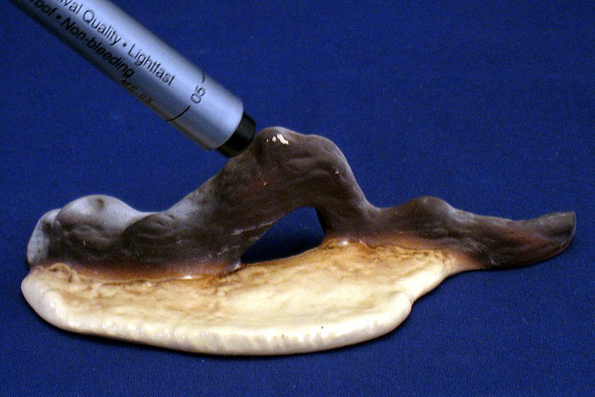 Hagen Renaker Driftwood Display Piece - small glaze scrape Hagen Renaker Driftwood Display Piece - small glaze scrape