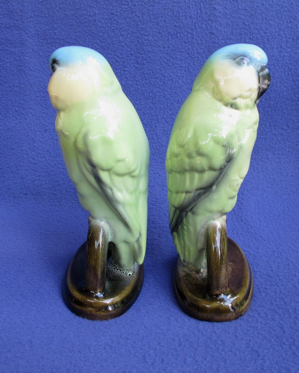 Vintage Blue-fronted Amazon Parrot Pair from Germany Vintage Blue-fronted Amazon Parrot Pair from Germany