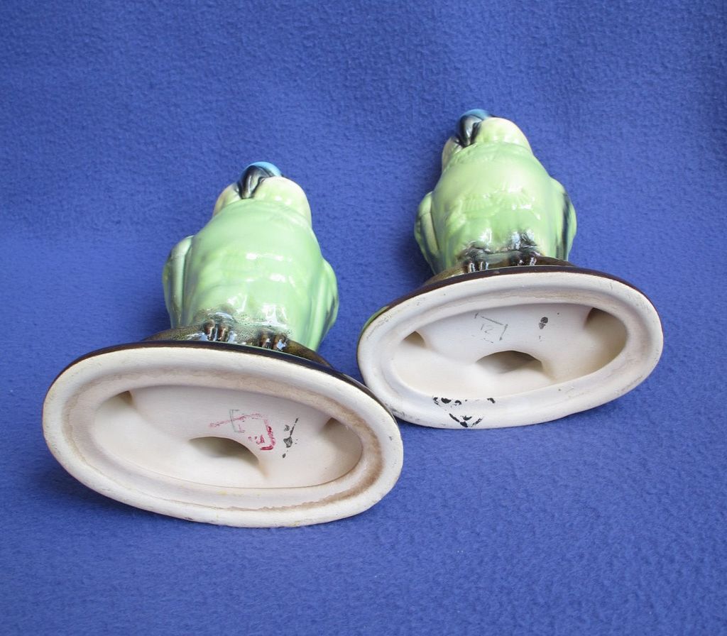 Vintage Blue-fronted Amazon Parrot Pair from Germany Vintage Blue-fronted Amazon Parrot Pair from Germany