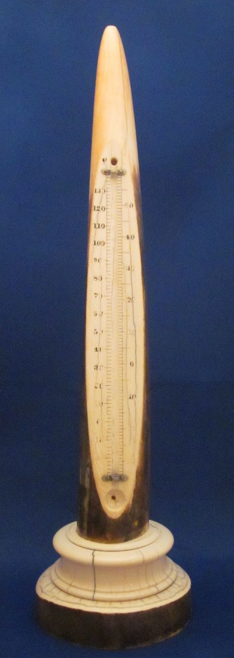 18" TIFFANY & CO IVORY Tusk Desk Thermometer c1900 18" TIFFANY & CO IVORY Tusk Desk Thermometer c1900