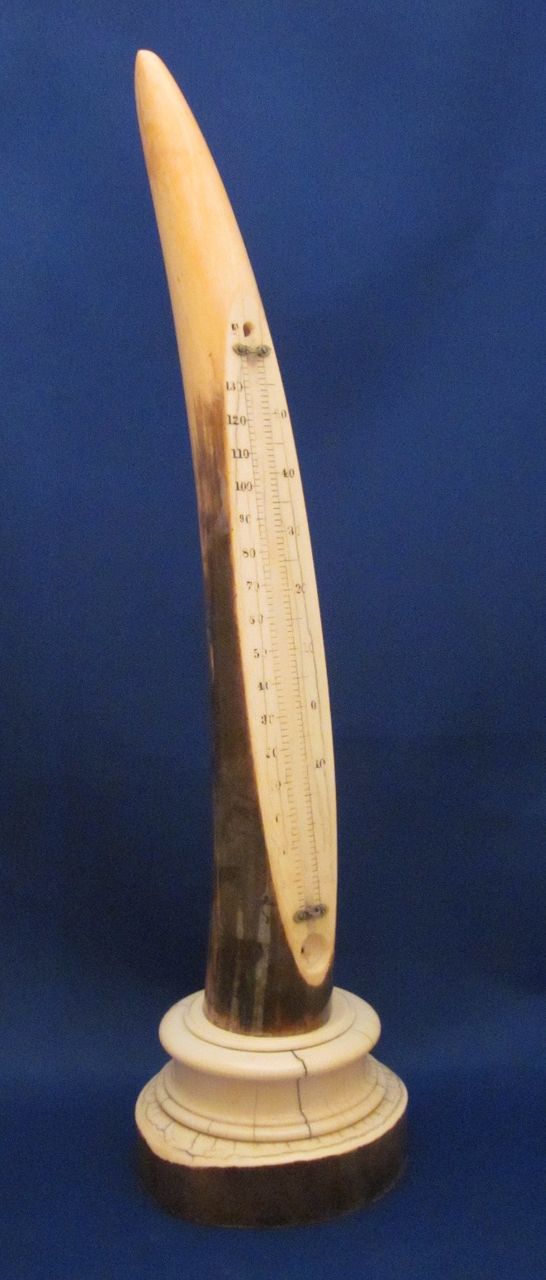 18" TIFFANY & CO IVORY Tusk Desk Thermometer c1900 18" TIFFANY & CO IVORY Tusk Desk Thermometer c1900
