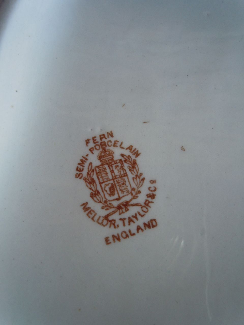 Mellor Taylor and Co. Vegetable in Fern Pattern Mellor Taylor and Co. Vegetable in Fern Pattern