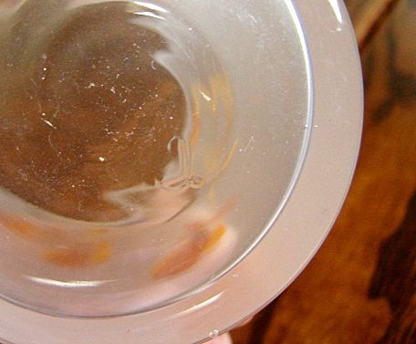 4 Libbey Tumblers Frosted Glasses for Hall China Jewel Tea Autumn Leaf Free Shipping 4 Libbey Tumblers Frosted Glasses for Hall China Jewel Tea Autumn Leaf Free Shipping