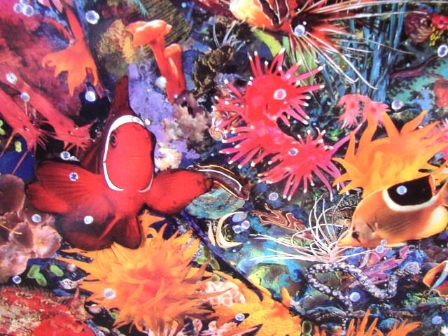 Leonard Benchen Benken Seascape Limited Edition Art Print "Aquatic Lights" Ocean Fish Coral Vintage Leonard Benchen Benken Seascape Limited Edition Art Print "Aquatic Lights" Ocean Fish Coral Vintage
