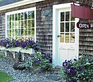 Painted Lady Antiques Painted Lady Antiques