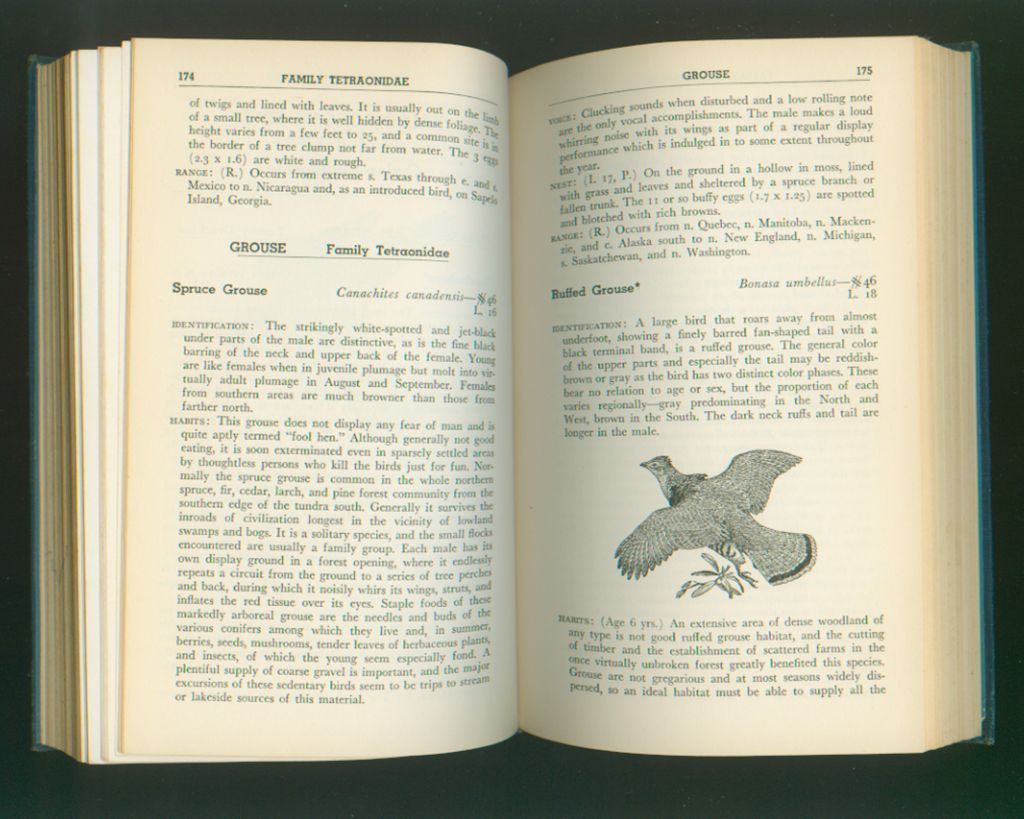 Audubon Water Bird Guide - 1951 Book Audubon Water Bird Guide - 1951 Book