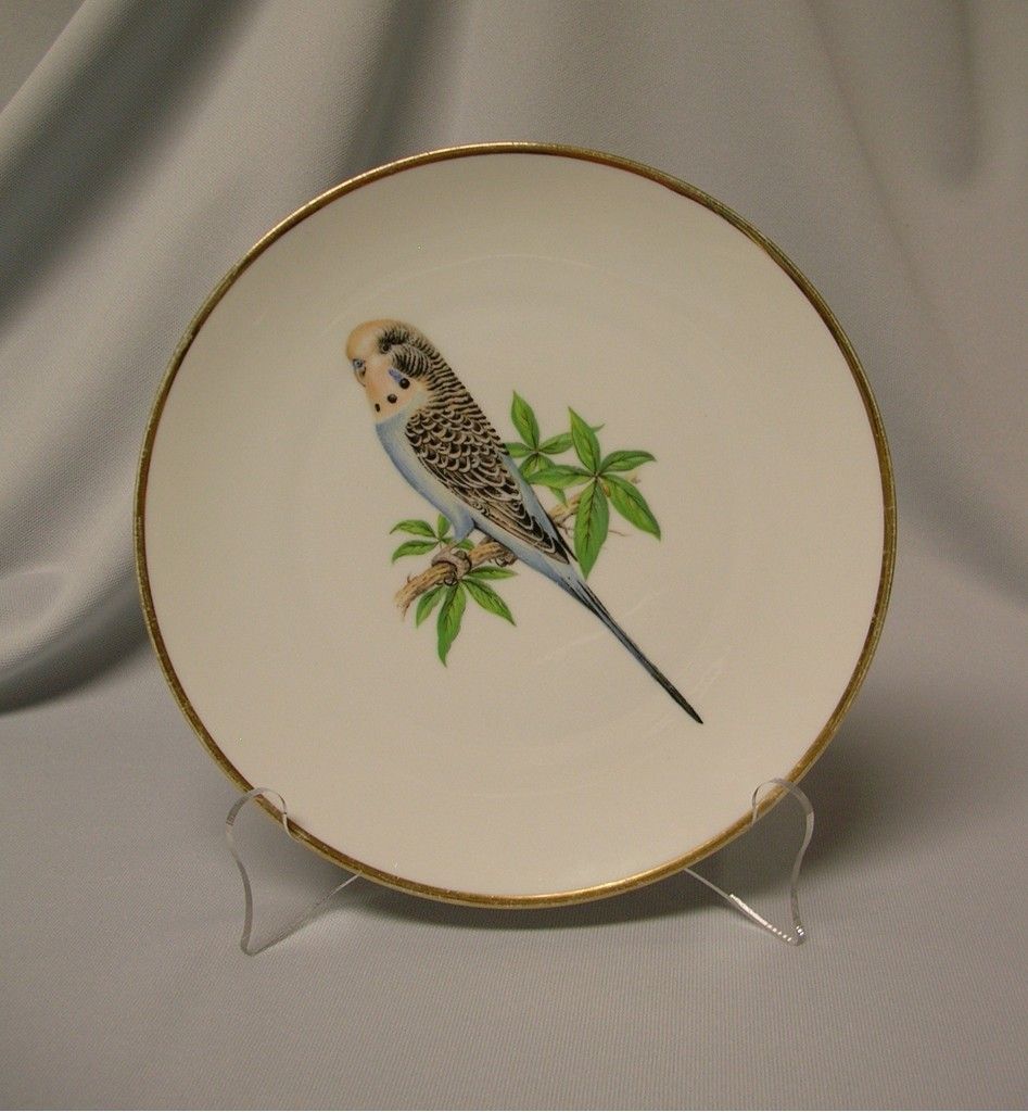 Bareuther Budgeriger Parakeet Decorative Porcelain Plate Bareuther Budgeriger Parakeet Decorative Porcelain Plate
