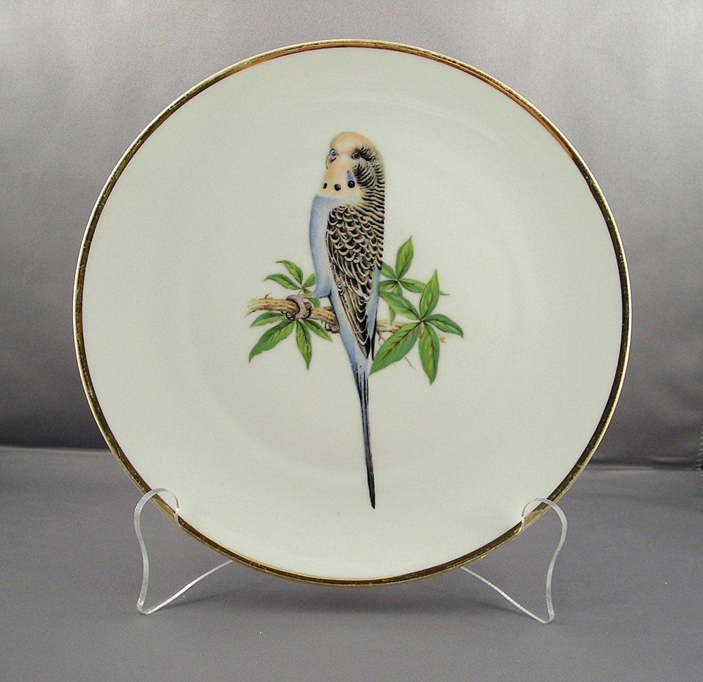 Bareuther Budgeriger Parakeet Decorative Porcelain Plate Bareuther Budgeriger Parakeet Decorative Porcelain Plate