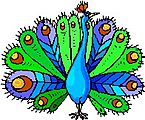 A Peacock Boutique A Peacock Boutique