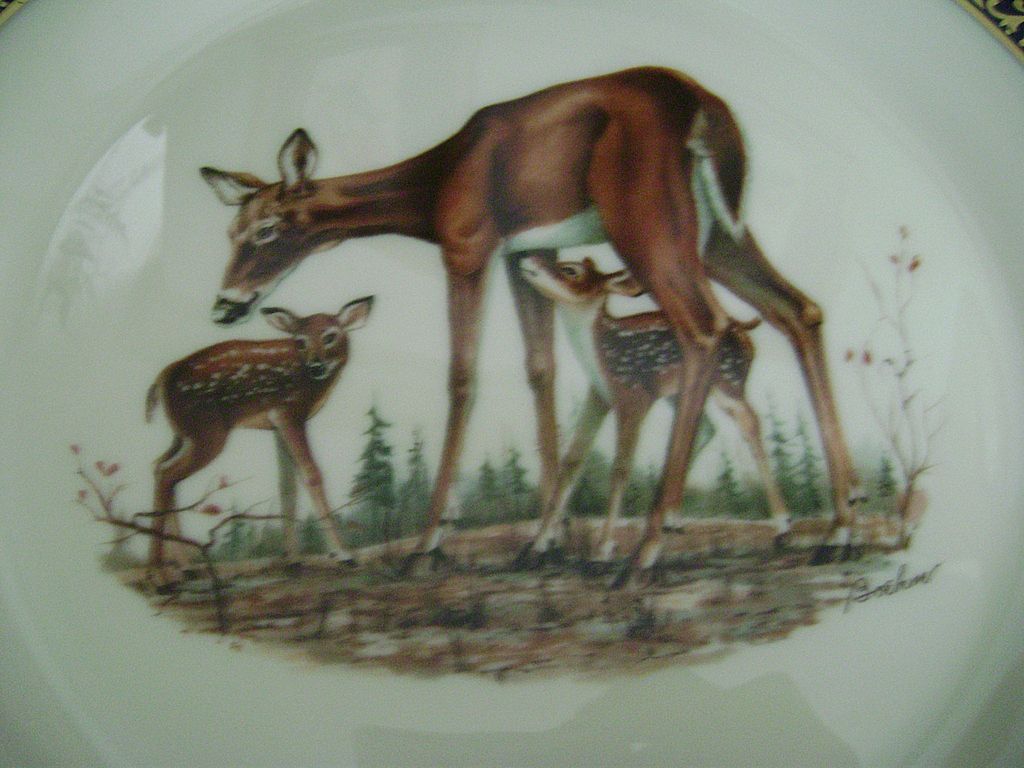 Lenox Boehm Woodland Wildlife Plate Whitetail Deer 1978 Lenox Boehm Woodland Wildlife Plate Whitetail Deer 1978