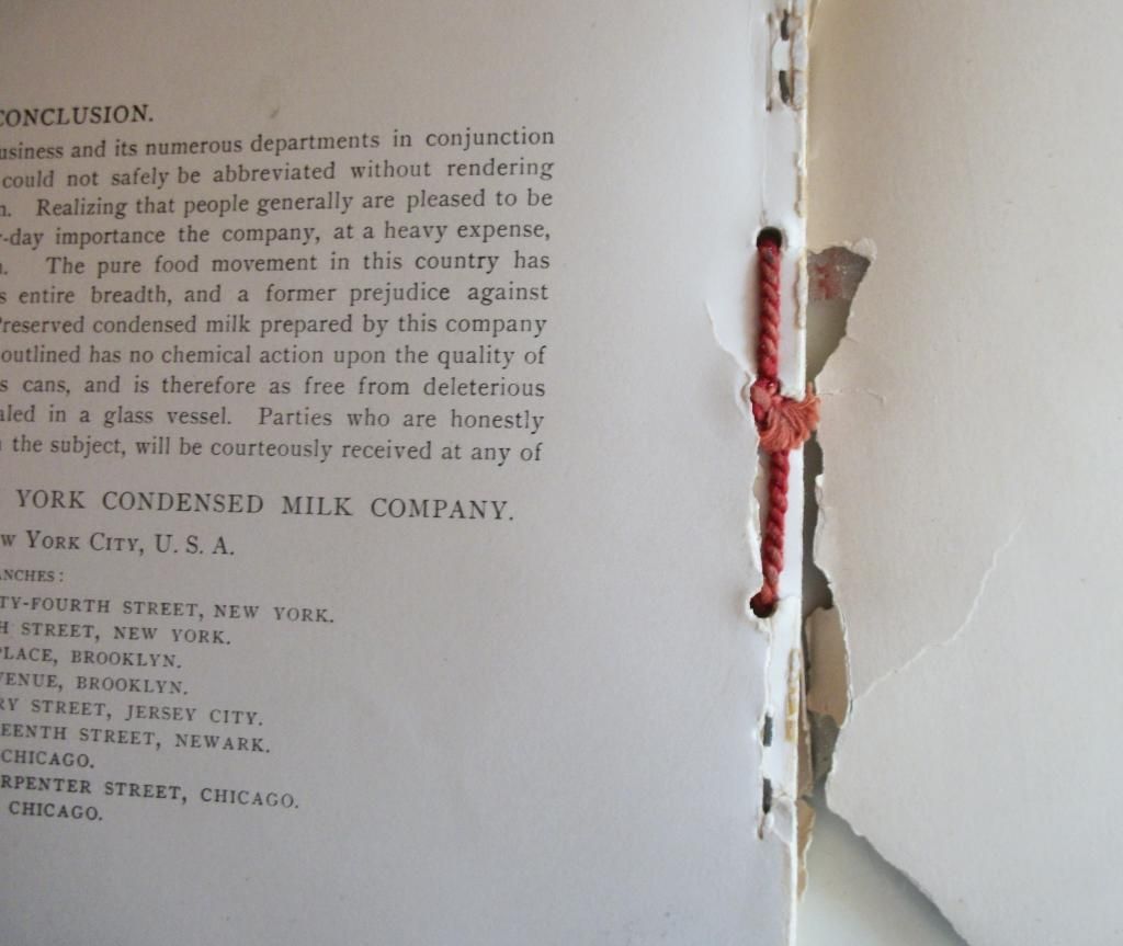 1893 Columbian Exhibition, NY Condensed Milk Co. Borden Book 1893 Columbian Exhibition, NY Condensed Milk Co. Borden Book