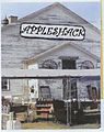 Appleshack Collectibles Appleshack Collectibles