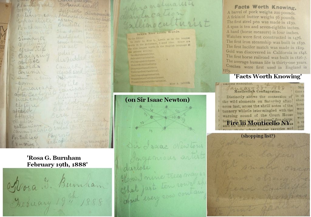 19th Century Scrap Book from The American Institute Report 1849 19th Century Scrap Book from The American Institute Report 1849