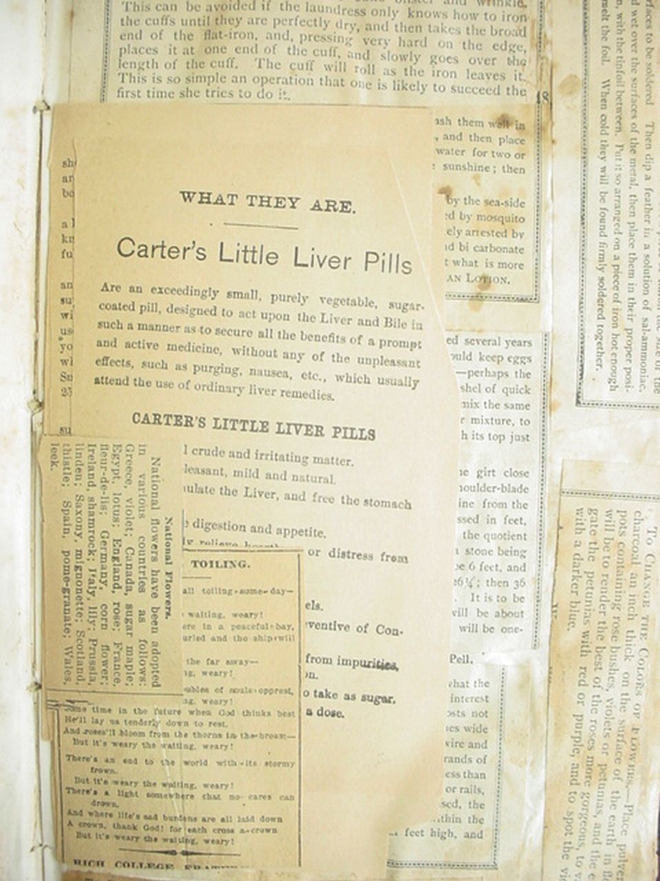 19th Century Scrap Book from The American Institute Report 1849 19th Century Scrap Book from The American Institute Report 1849
