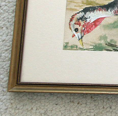 Watercolor Wild Turkey The Hunted Sheppard Watercolor Wild Turkey The Hunted Sheppard