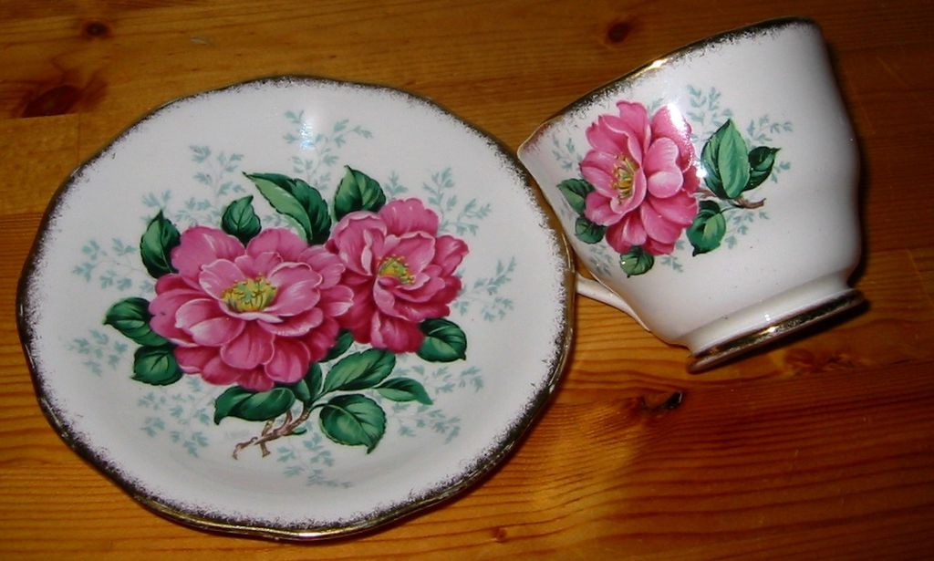 Queen Anne - Camellia - Teacup Set Queen Anne - Camellia - Teacup Set