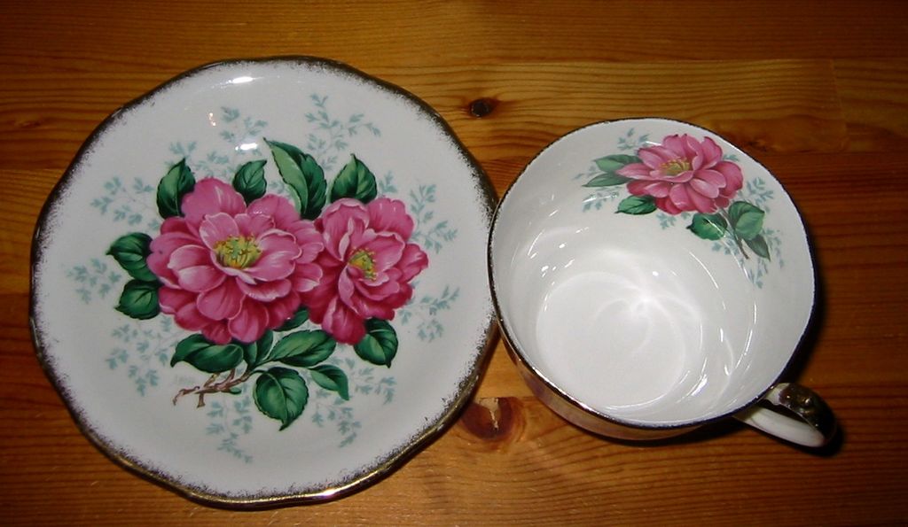 Queen Anne - Camellia - Teacup Set Queen Anne - Camellia - Teacup Set