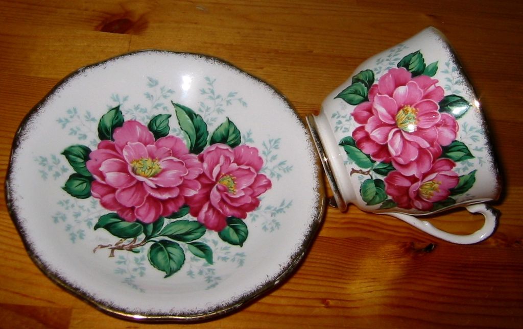Queen Anne - Camellia - Teacup Set Queen Anne - Camellia - Teacup Set