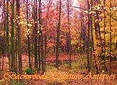 Backwoods Treasure Antiques
