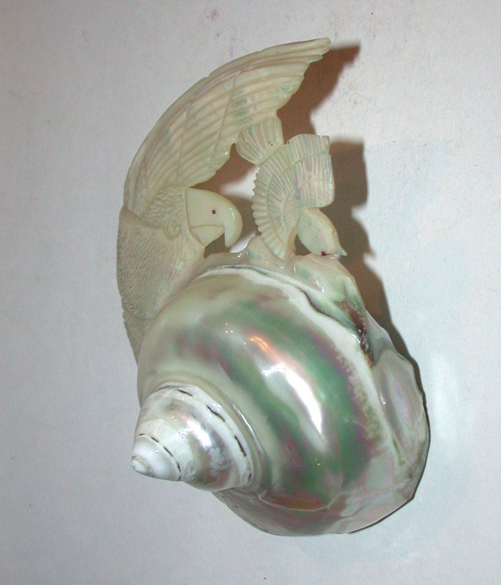 Interesting Vintage Shell Carved With Eagle And Sparrow Design Interesting Vintage Shell Carved With Eagle And Sparrow Design