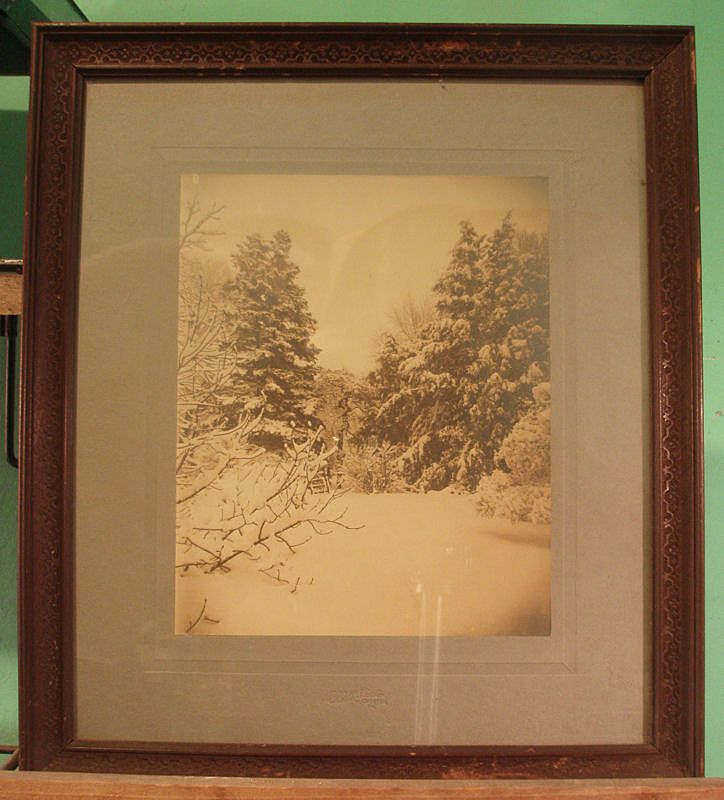 Early 20th Century Albumen Print - Snow Scene Early 20th Century Albumen Print - Snow Scene
