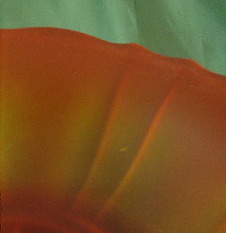 Tiffin/US Glass #310 Amberina Bowl & Stand Tiffin/US Glass #310 Amberina Bowl & Stand