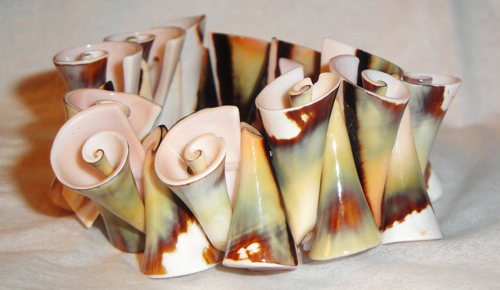 Beautiful Sea Shell Stretch Bracelet Beautiful Sea Shell Stretch Bracelet