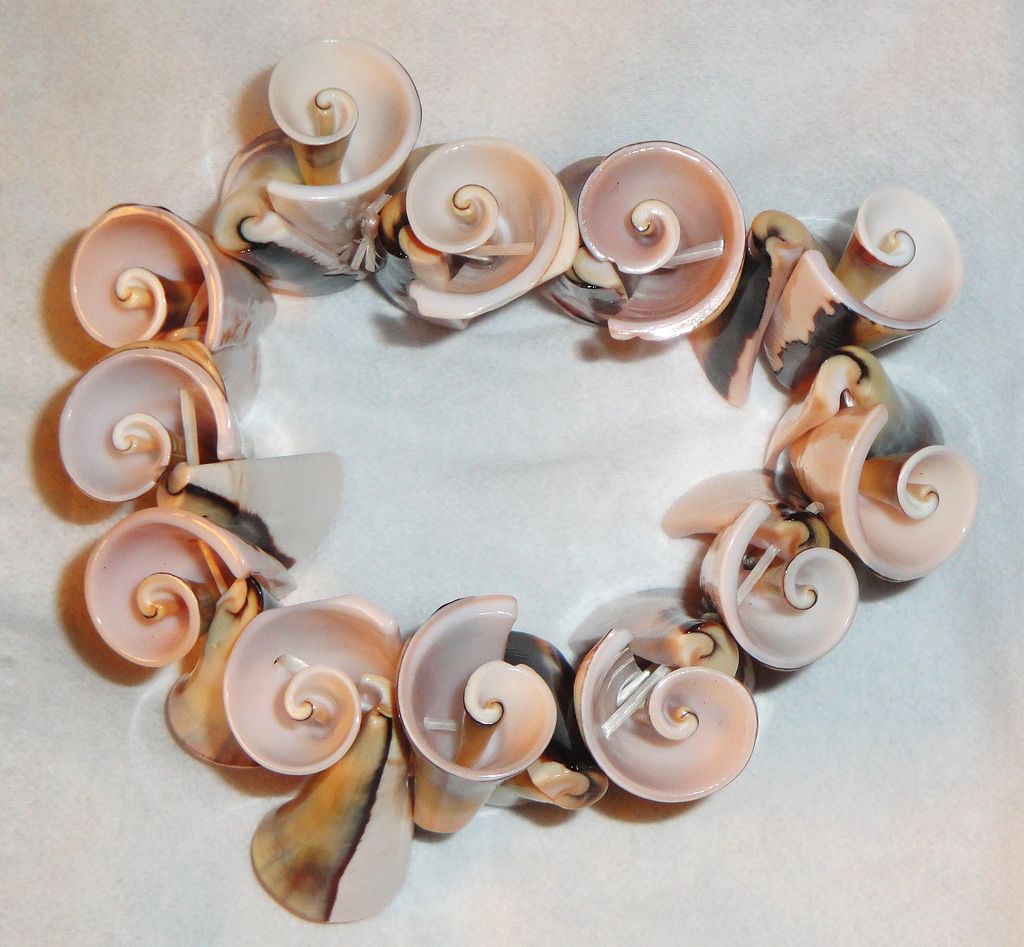 Beautiful Sea Shell Stretch Bracelet Beautiful Sea Shell Stretch Bracelet