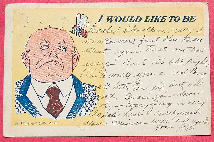 Unusual Edwardian Post Card Bumble Bee Unusual Edwardian Post Card Bumble Bee