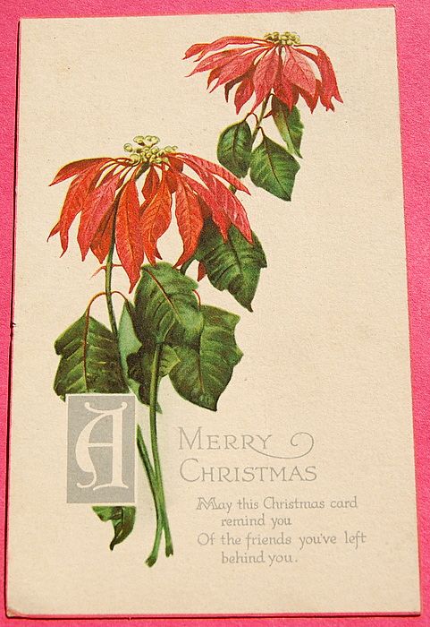 Art Nouveau Christmas Post Card Series No. 169 Wilting Poinsettia Art Nouveau Christmas Post Card Series No. 169 Wilting Poinsettia