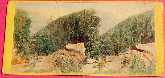 1865 The Glens Of The Catskills No. 4208 Stereophotography Stereoview 1865 The Glens Of The Catskills No. 4208 Stereophotography Stereoview