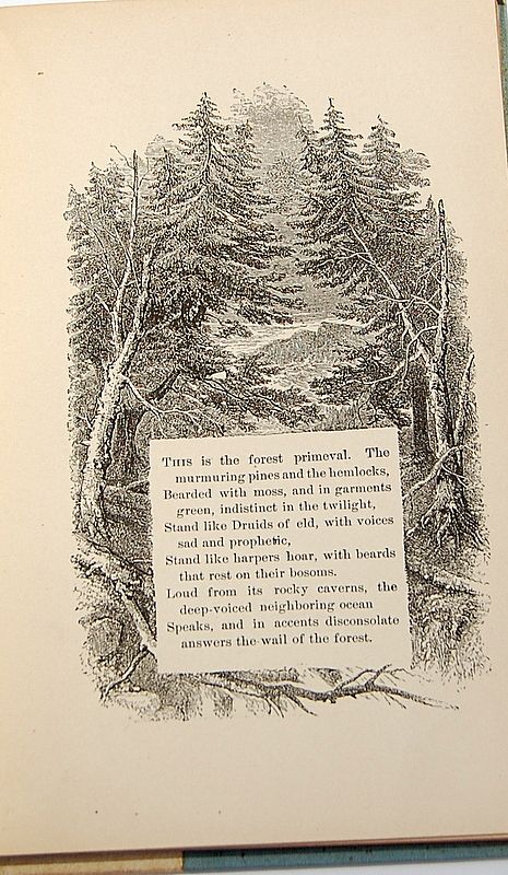 1893 "Evangeline" By Henry Wadsworth Longfellow 1893 "Evangeline" By Henry Wadsworth Longfellow