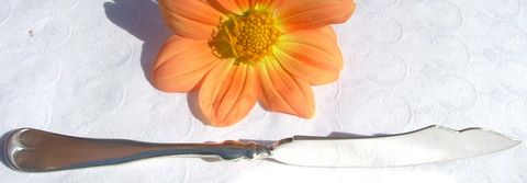 Vintage Rogers Bros Silver Plate Butter Knife Vintage Rogers Bros Silver Plate Butter Knife