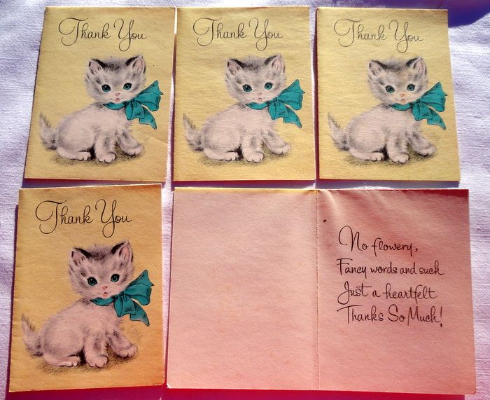 Five Vintage Kitten Forget Me Not Thank You Cards Five Vintage Kitten Forget Me Not Thank You Cards