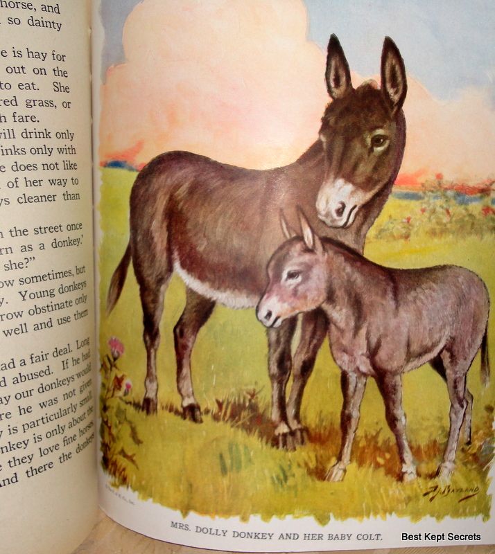 1935 Animal Friends Story Book Watty Piper 1935 Animal Friends Story Book Watty Piper