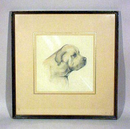 Dog Pencil Sketch in Frame Dog Pencil Sketch in Frame