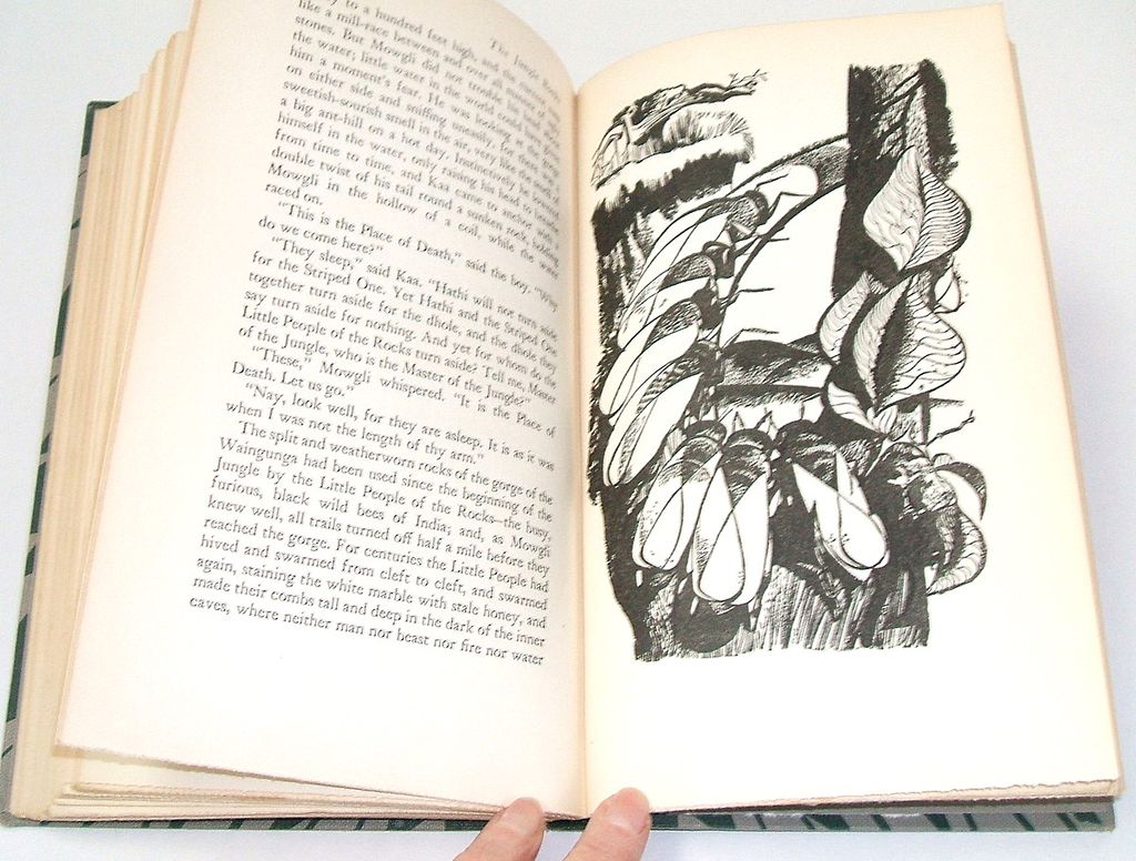 THE JUNGLE BOOKS. Kipling. Aldren Watson illustrations! Vol 1. 1948. Near Fine condition. THE JUNGLE BOOKS. Kipling. Aldren Watson illustrations! Vol 1. 1948. Near Fine condition.