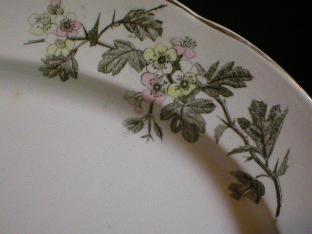 T Furnival & Sons Polychrome Transferware "Hawthorn" Platter T Furnival & Sons Polychrome Transferware "Hawthorn" Platter