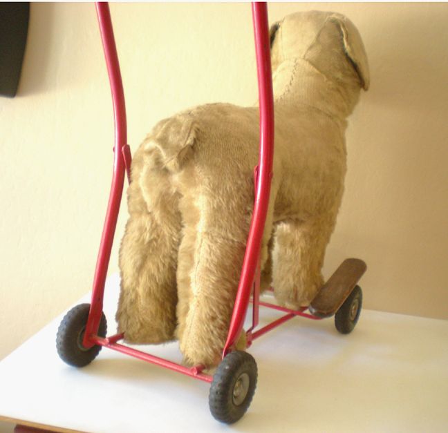 toy dog on wheels with lead