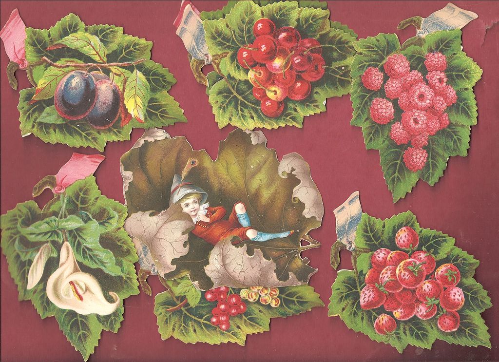 Fruits Flowers & Berries Die Cuts 19th C. Fruits Flowers & Berries Die Cuts 19th C.