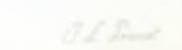 Provost Artist-A Trio of Watercolor Floral Litohgraphs Provost Artist-A Trio of Watercolor Floral Litohgraphs
