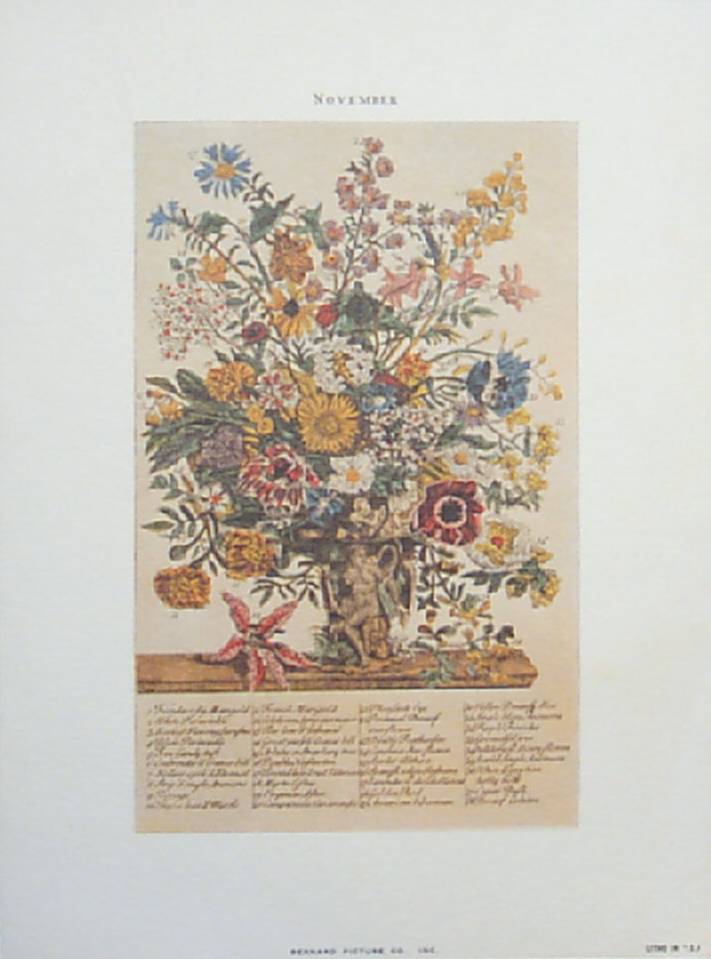 Lithograph Birthday November Lithograph Birthday November